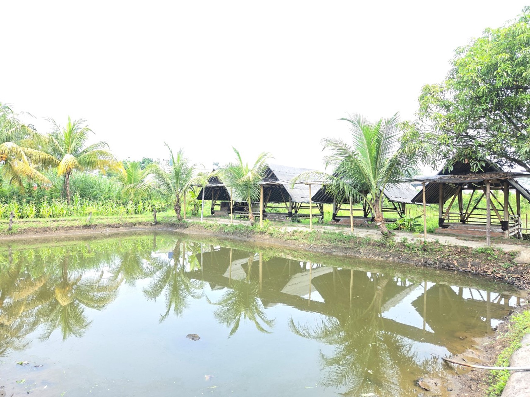  Dijual murah tanah luas, cocok pool, gudang , jalan raya, Cianjur.