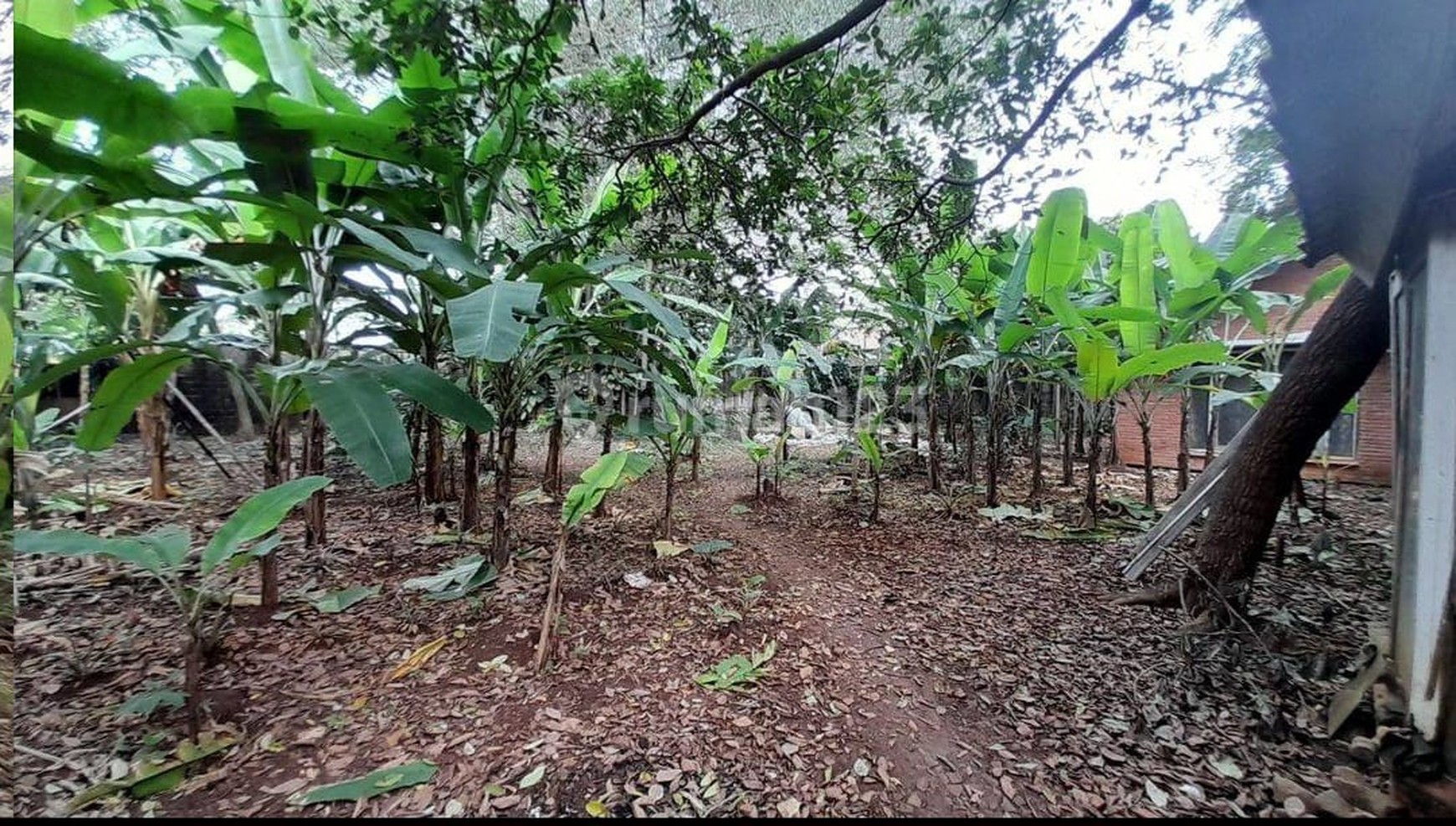 Kavling Siap Bangun Diarea Harjamukti Near Perkemahan Cibubur