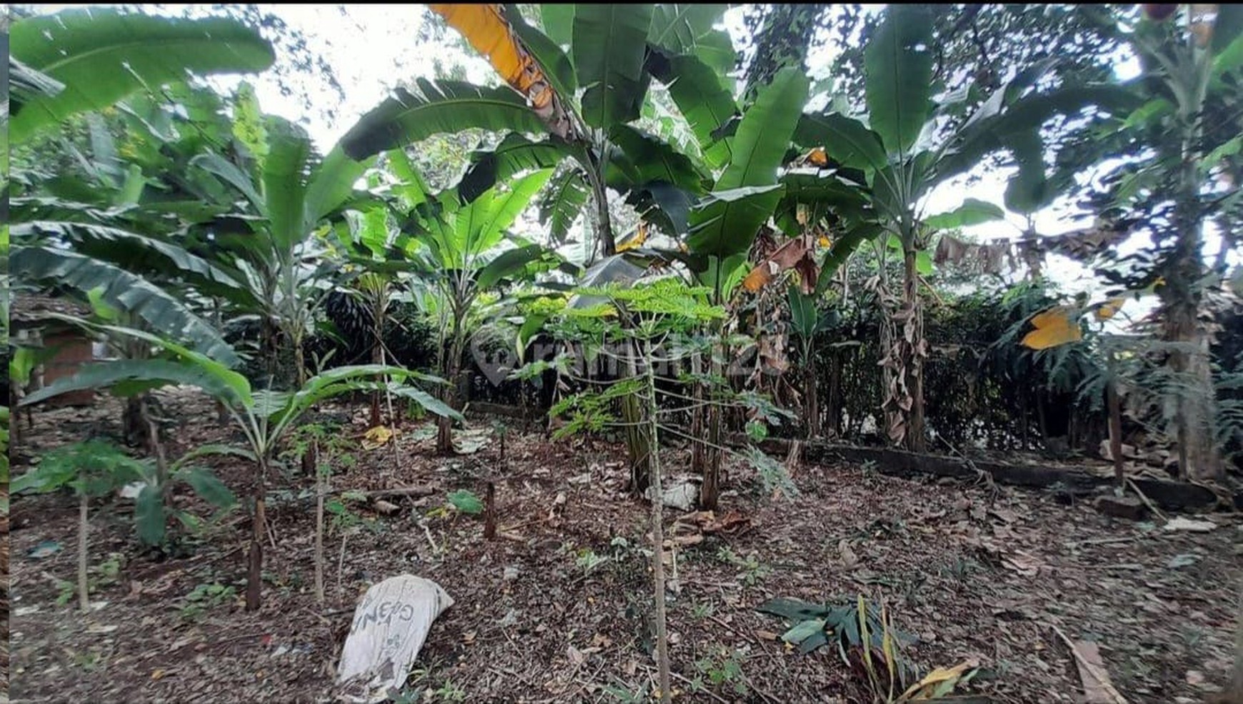 Kavling Siap Bangun Diarea Harjamukti Near Perkemahan Cibubur