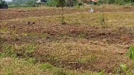 Kavling Cocok untuk Investasi Kos Depan Jalan Utama Jl Raya Dramaga Bogor