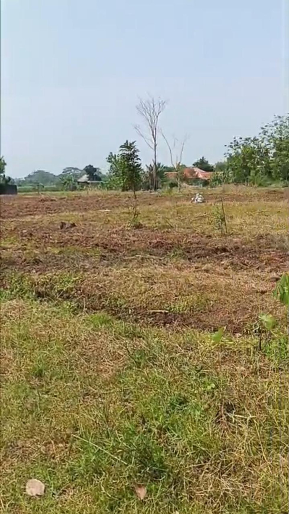 Kavling Cocok untuk Investasi Kos Depan Jalan Utama Jl Raya Dramaga Bogor