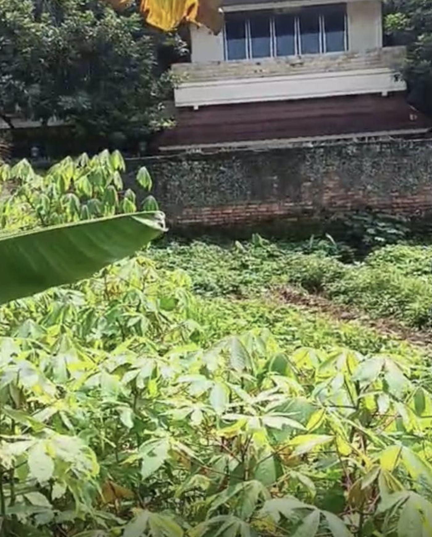 Kavling Cocok untuk Investasi Kos Depan Jalan Utama Jl Raya Dramaga Bogor