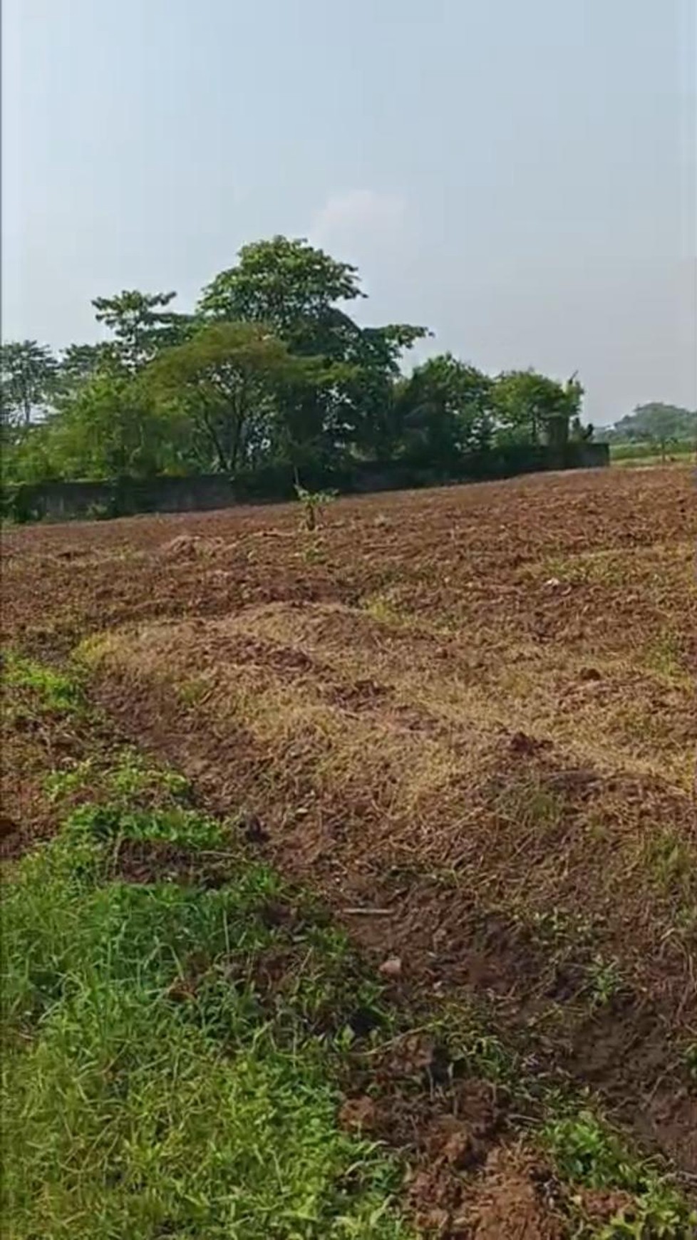 Kavling Cocok untuk Investasi Kos Depan Jalan Utama Jl Raya Dramaga Bogor