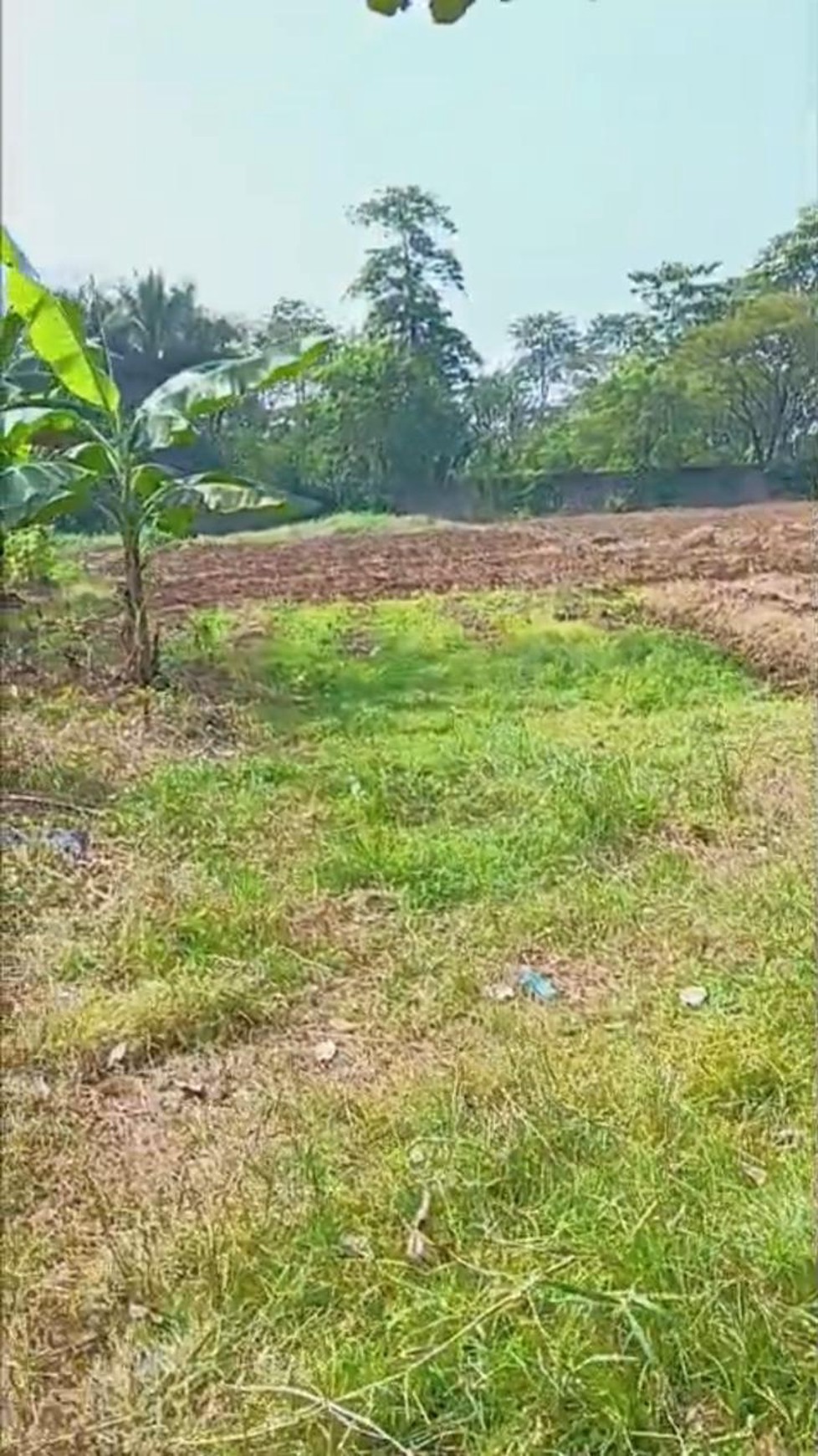Kavling Cocok untuk Investasi Kos Depan Jalan Utama Jl Raya Dramaga Bogor