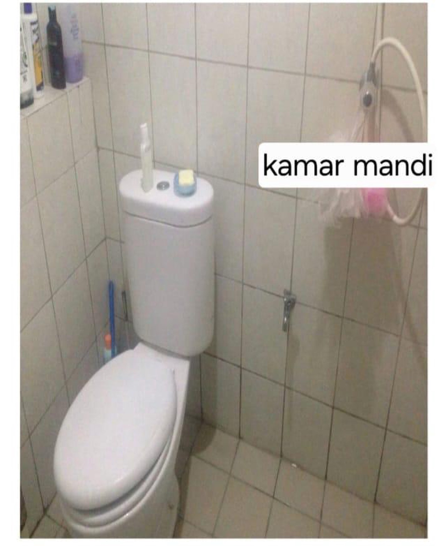 Apartment Bintaro Park View