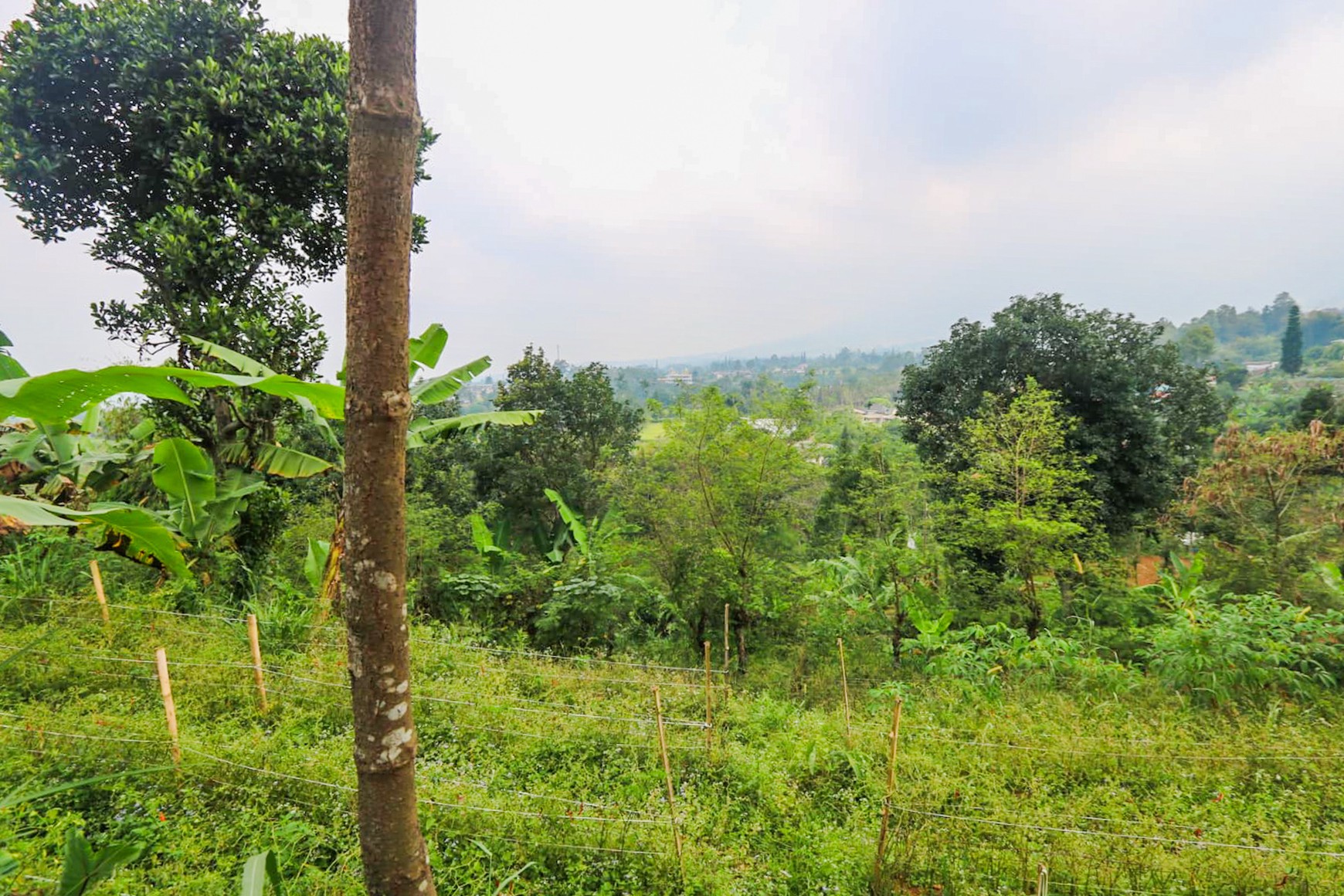 Tanah 4000 m2 Ciloto, Cipanas, Puncak, Akses Mudah Sentul, Bogor
