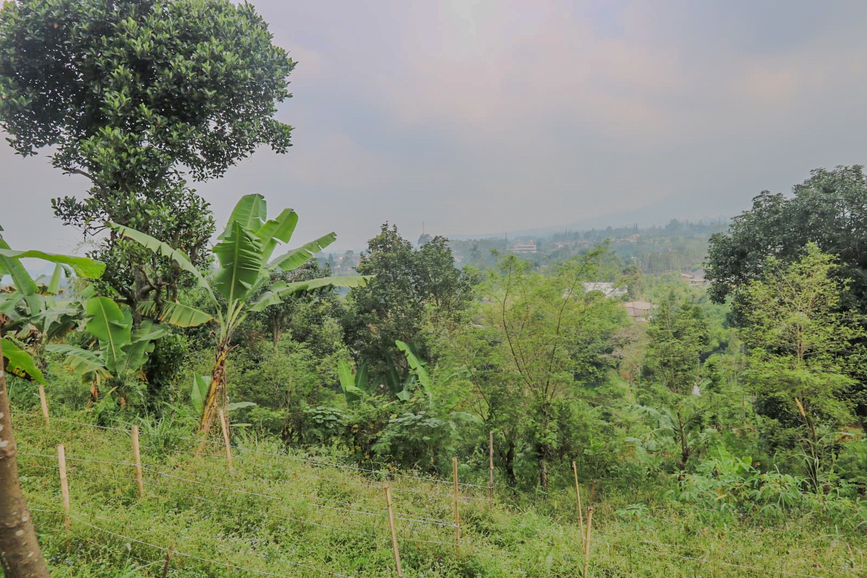 Tanah 4000 m2 Ciloto, Cipanas, Puncak, Akses Mudah Sentul, Bogor