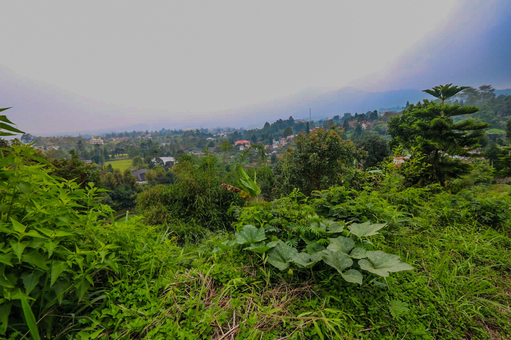 Tanah 4000 m2 Ciloto, Cipanas, Puncak, Akses Mudah Sentul, Bogor
