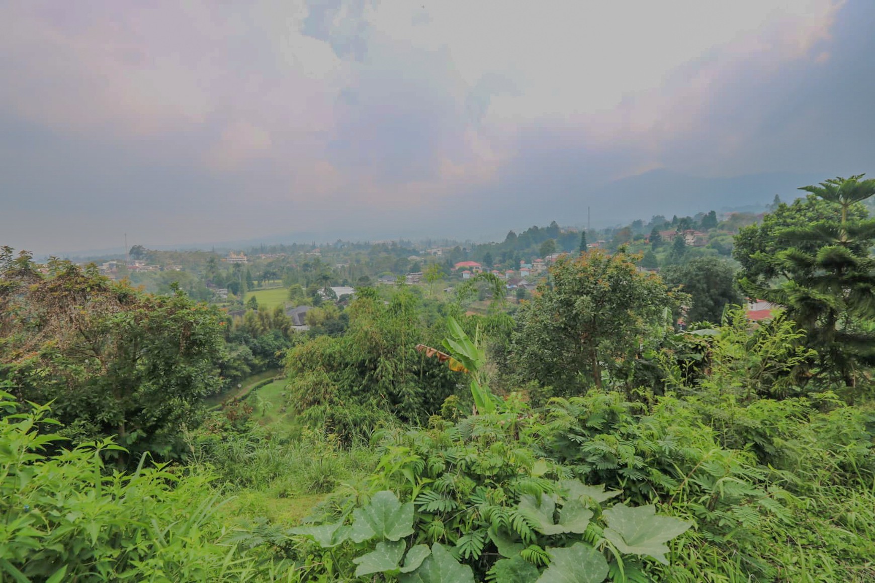 Tanah 4000 m2 Ciloto, Cipanas, Puncak, Akses Mudah Sentul, Bogor