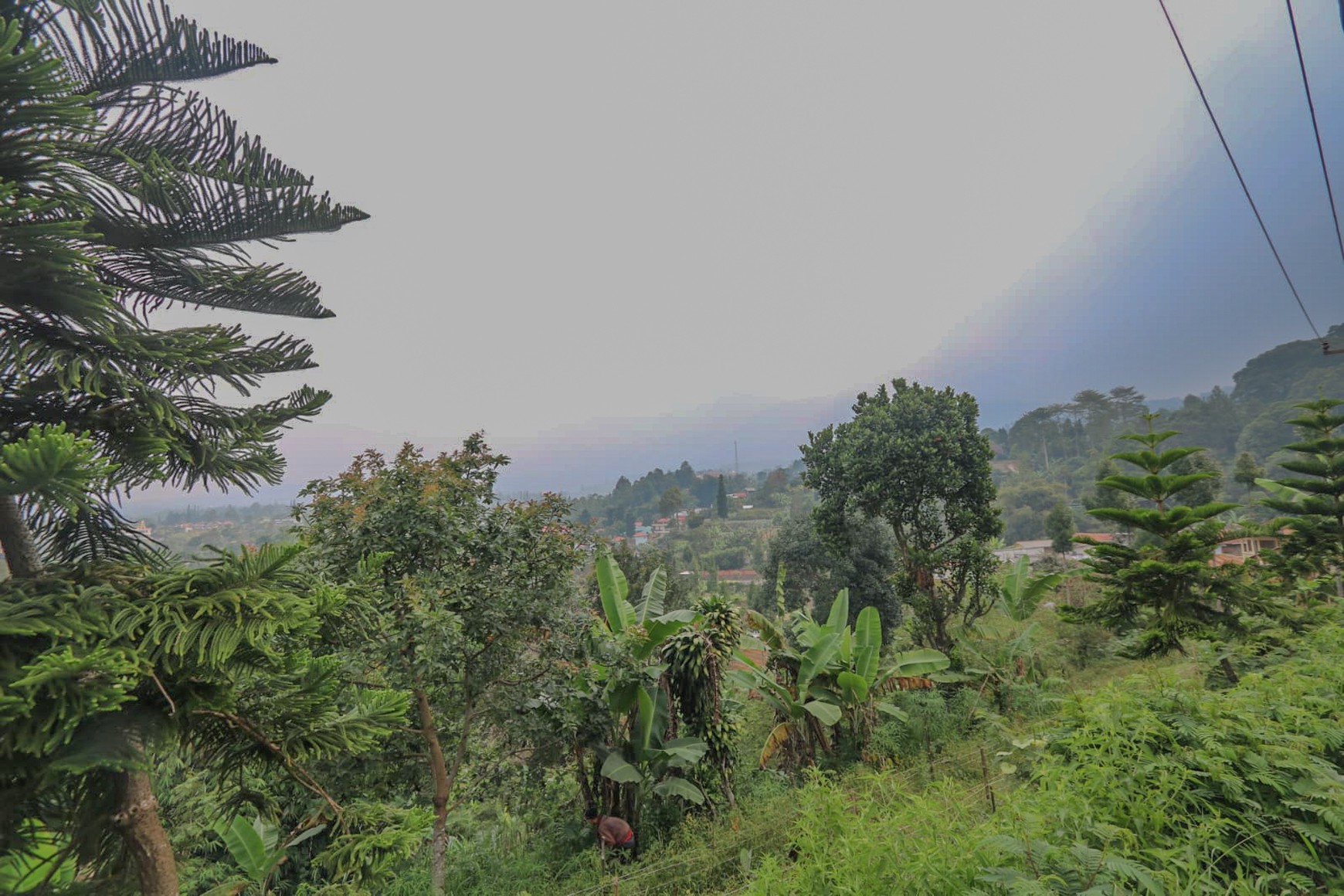 Tanah 4000 m2 Ciloto, Cipanas, Puncak, Akses Mudah Sentul, Bogor