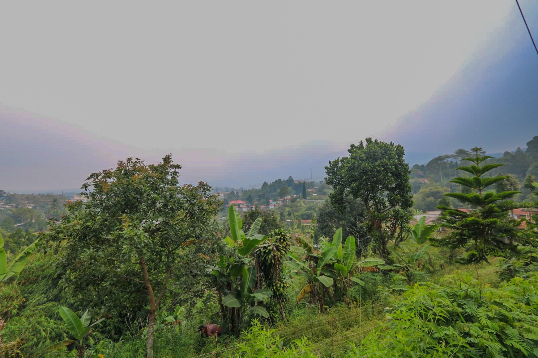Tanah 4000 m2 Ciloto, Cipanas, Puncak, Akses Mudah Sentul, Bogor