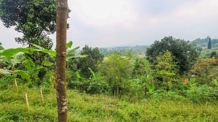 Tanah 4000 m2 Ciloto, Cipanas, Puncak