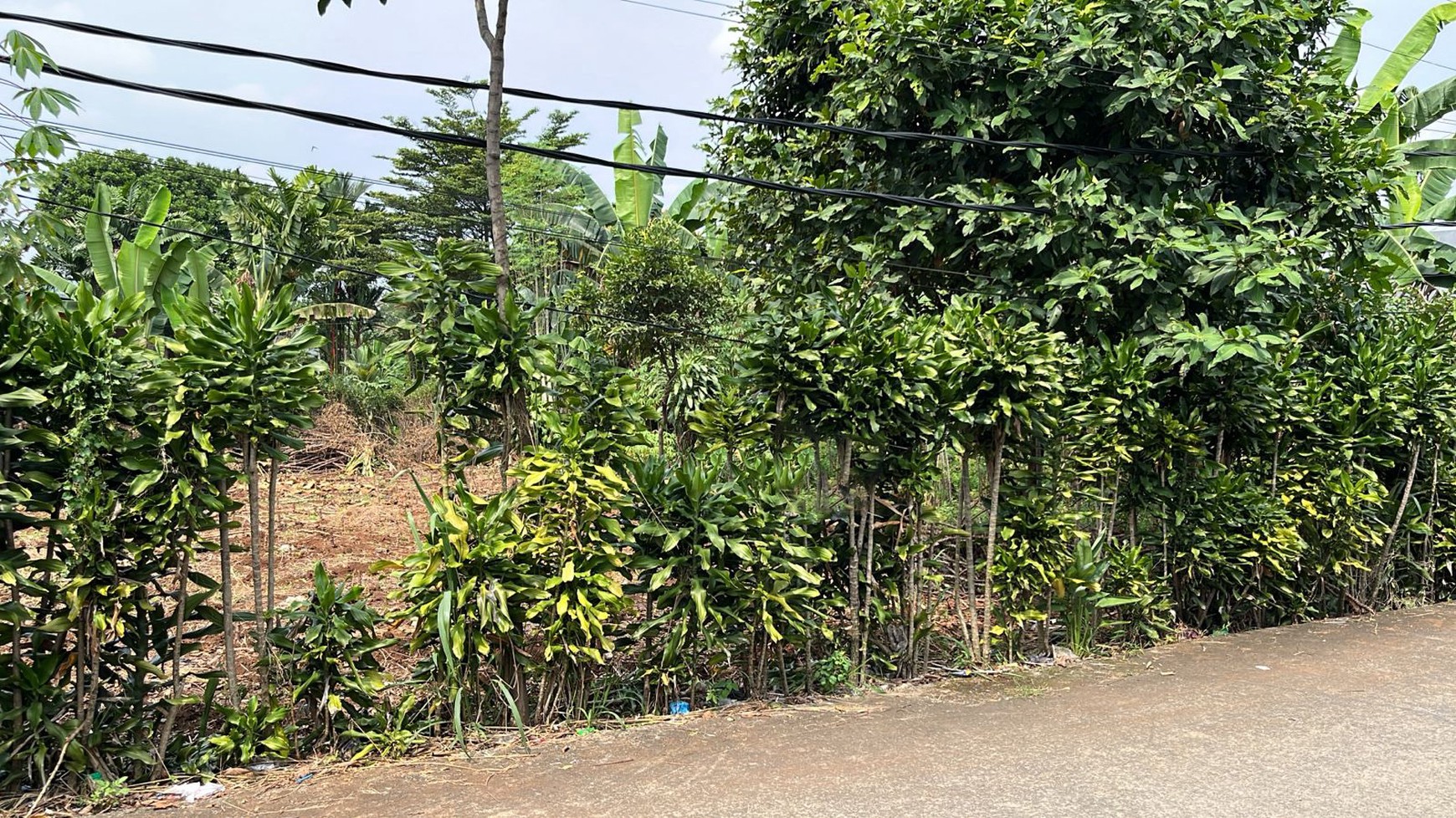 Kavling Murah Siap Bangun dan Cocok Untuk Retail @Cibinong. Bogor