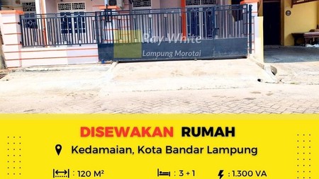 Disewakan rumah di Kedamaian