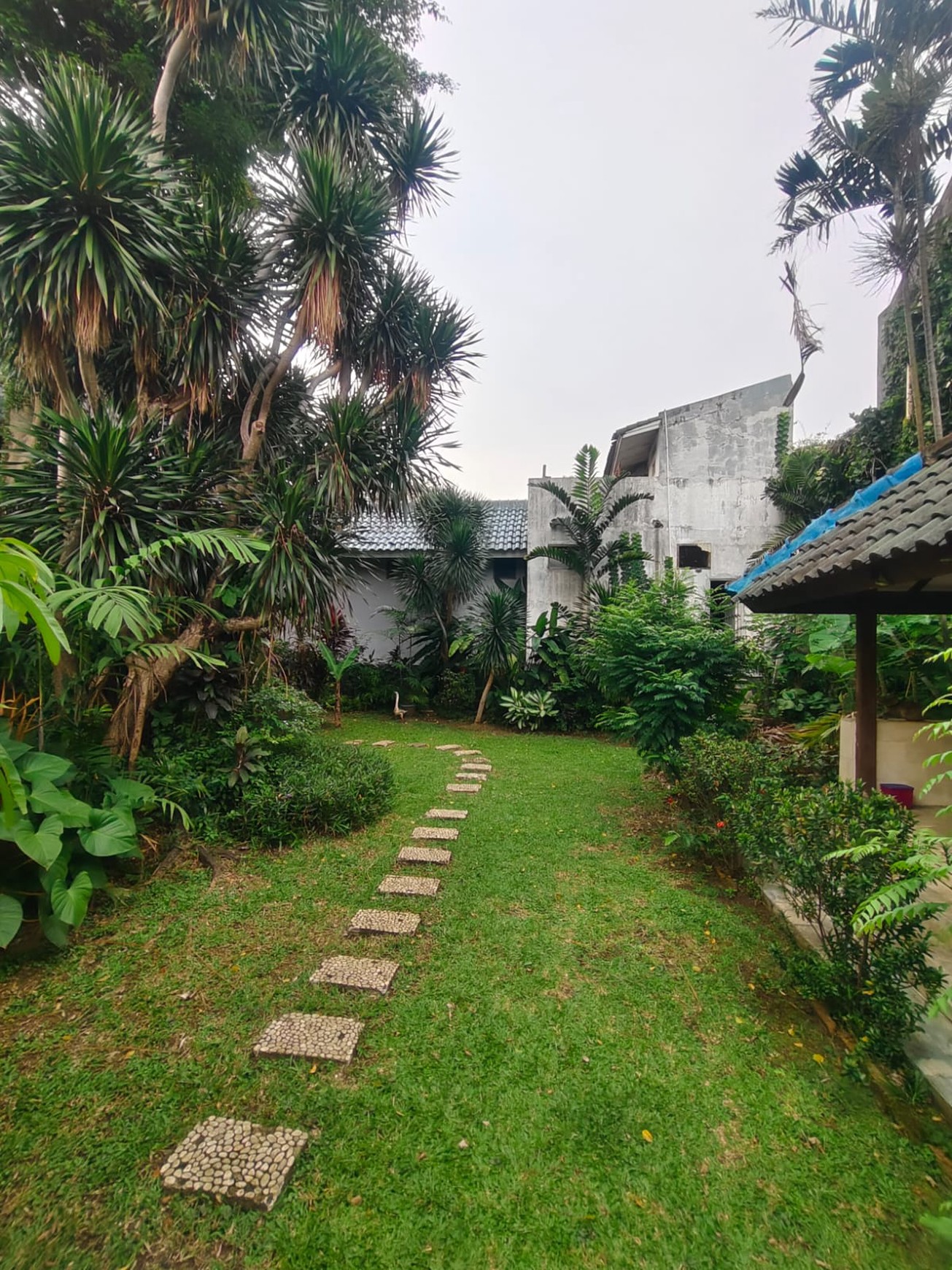 Rumah Bagus Di Jl Lebak Bulus Jakarta Selatan