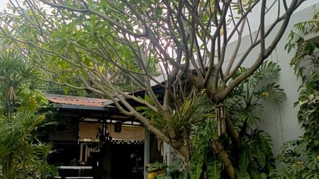 Rumah Bagus Di Jl Kesehatan, Bintaro Jakarta Selatan