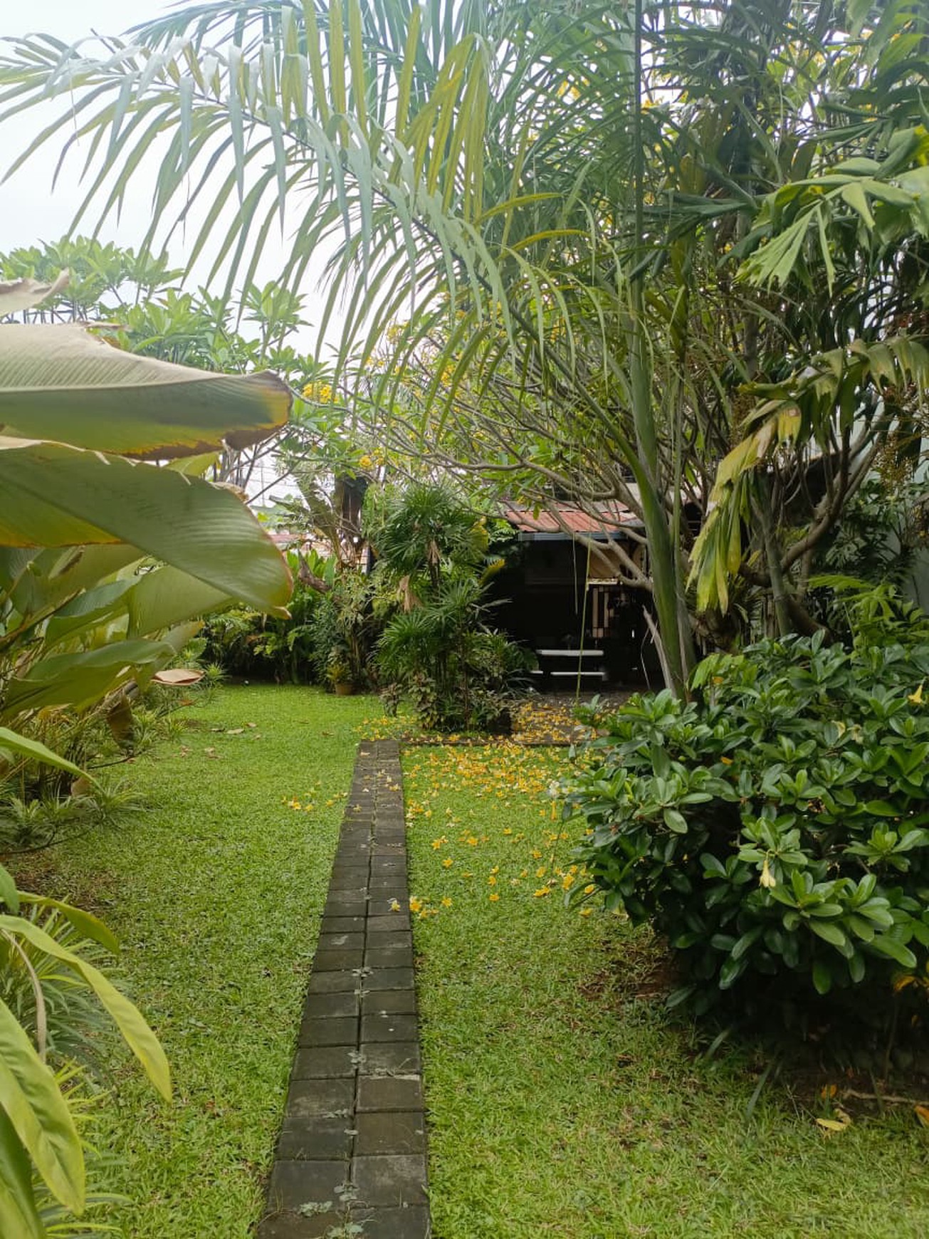 Rumah Bagus Di Jl Kesehatan, Bintaro Jakarta Selatan