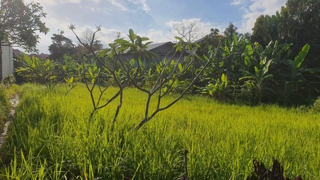 Leasehold - Rare Opportunity! 10 Are Land in  prime area, Canggu, Bali