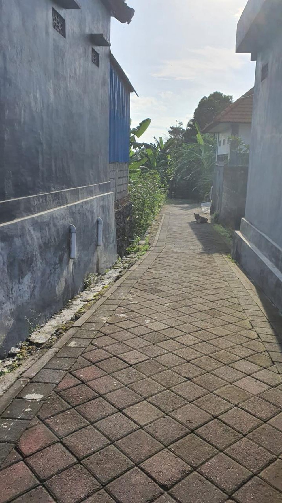 Leasehold - Rare Opportunity! 10 Are Land in  prime area, Canggu, Bali