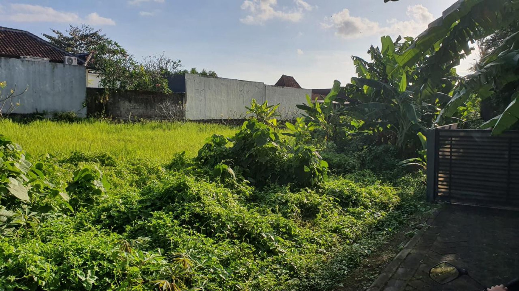 Leasehold - Rare Opportunity! 10 Are Land in  prime area, Canggu, Bali