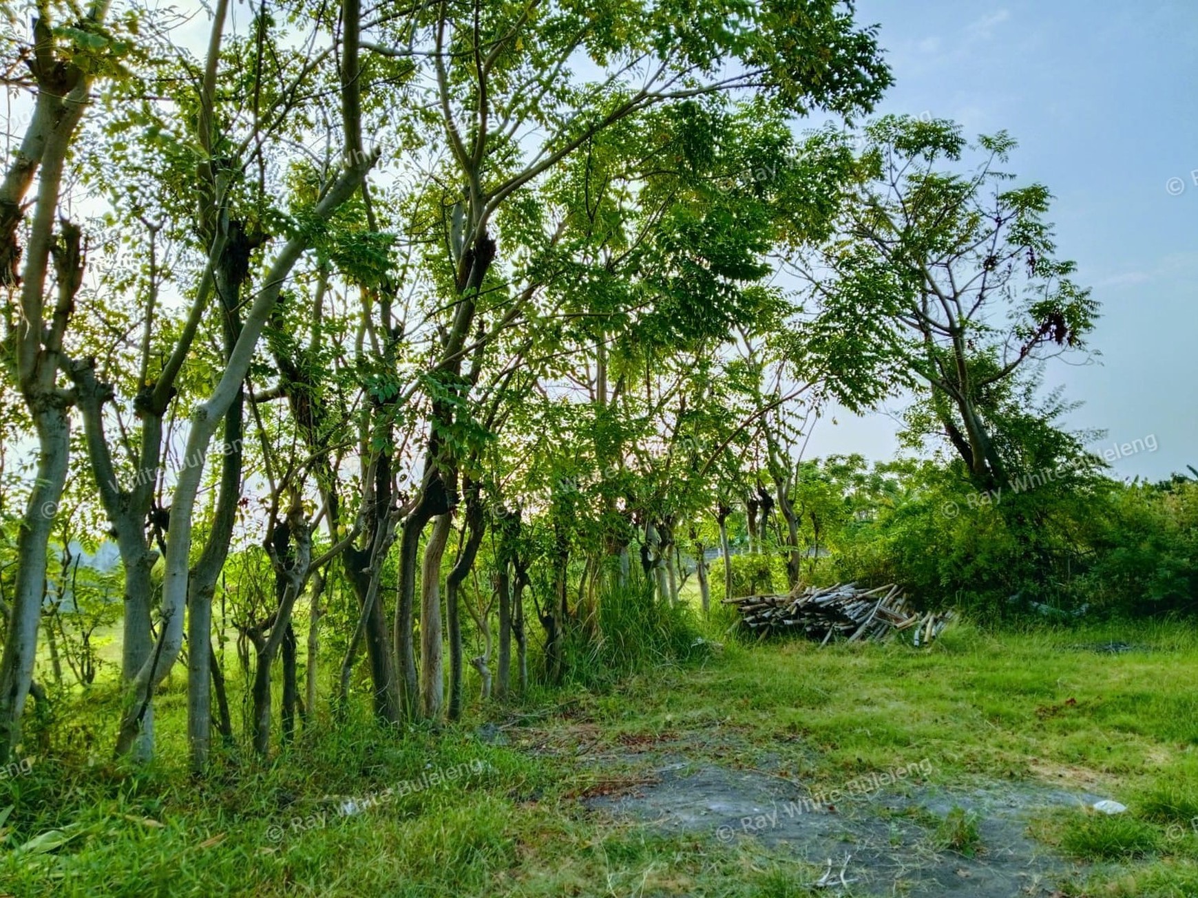 Prime Land in Peaceful Villa Complex - Just 400 Meters from the Beach