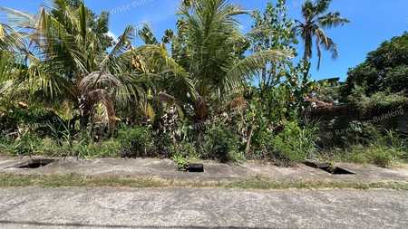 Affordable 400 Sqm Land in Kaliasem, Perfect for Development
