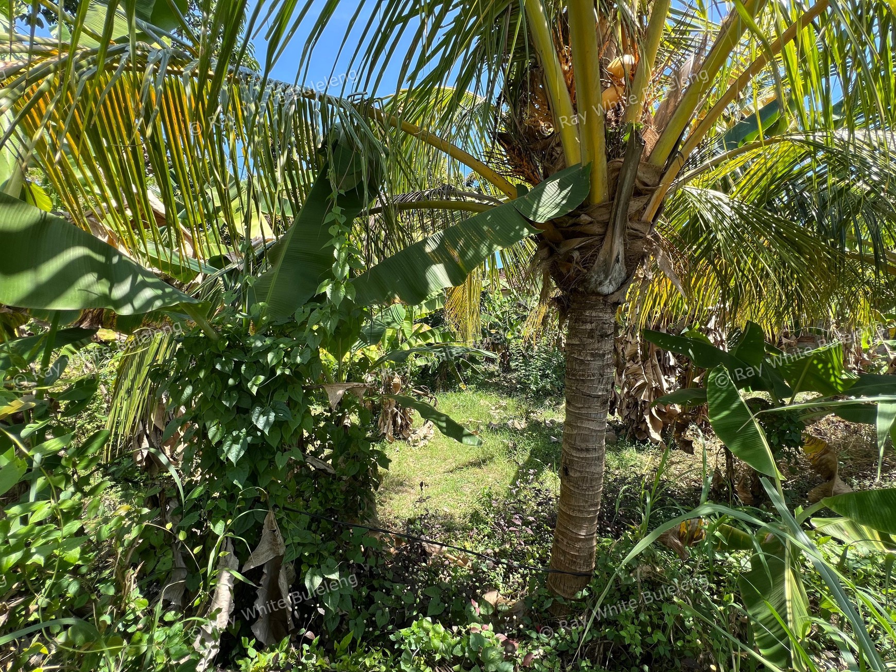 Affordable 400 Sqm Land in Kaliasem, Perfect for Development