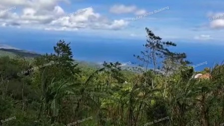 Strategic 4,950 Sqm Land - Ideal for Private Living or Investment