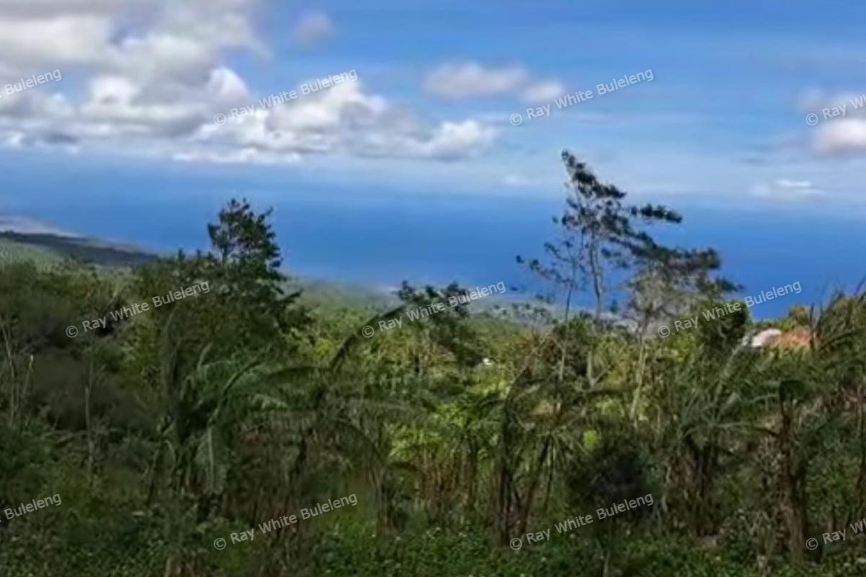 Strategic 4,950 Sqm Land - Ideal for Private Living or Investment