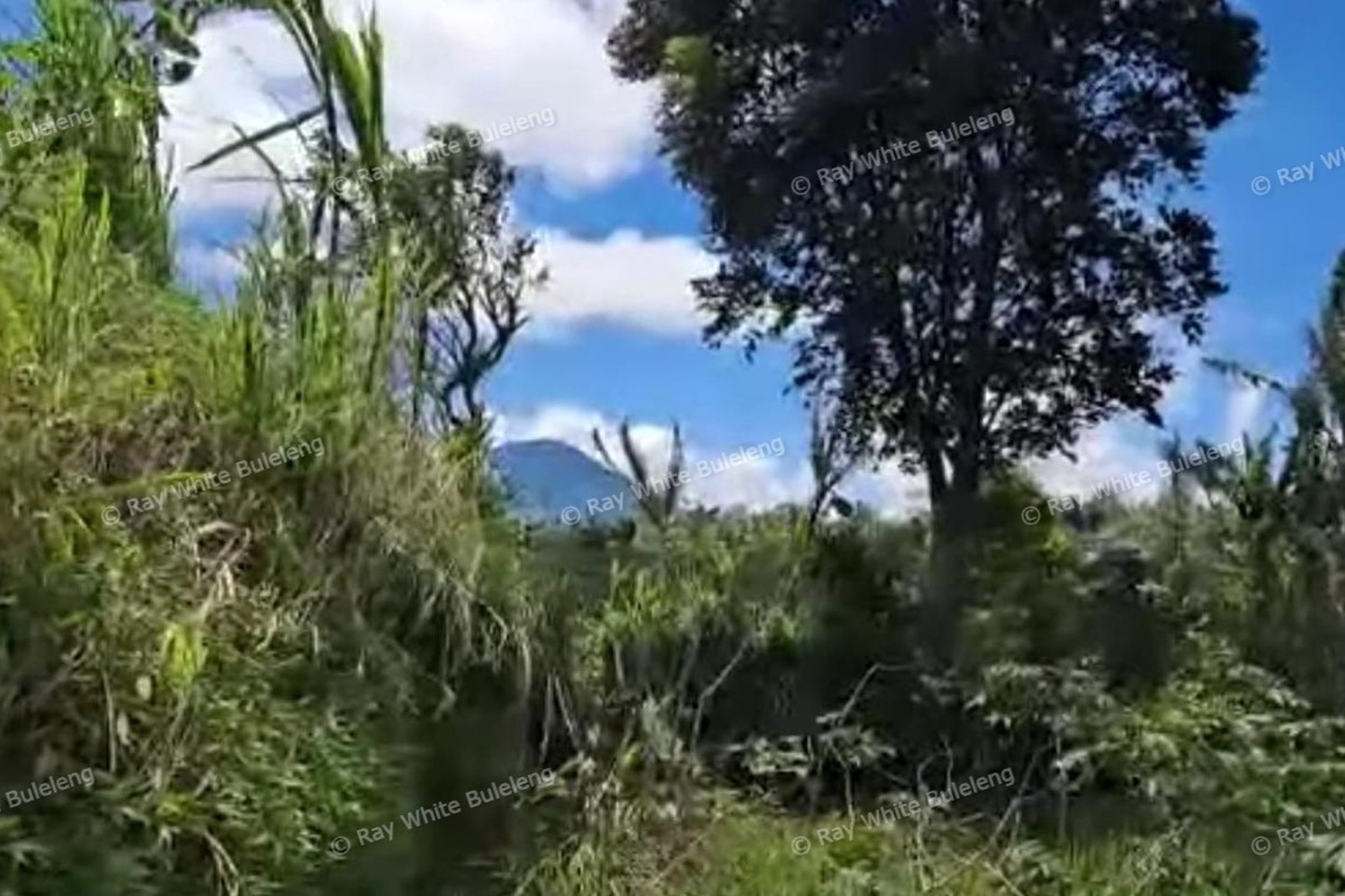 Strategic 4,950 Sqm Land - Ideal for Private Living or Investment