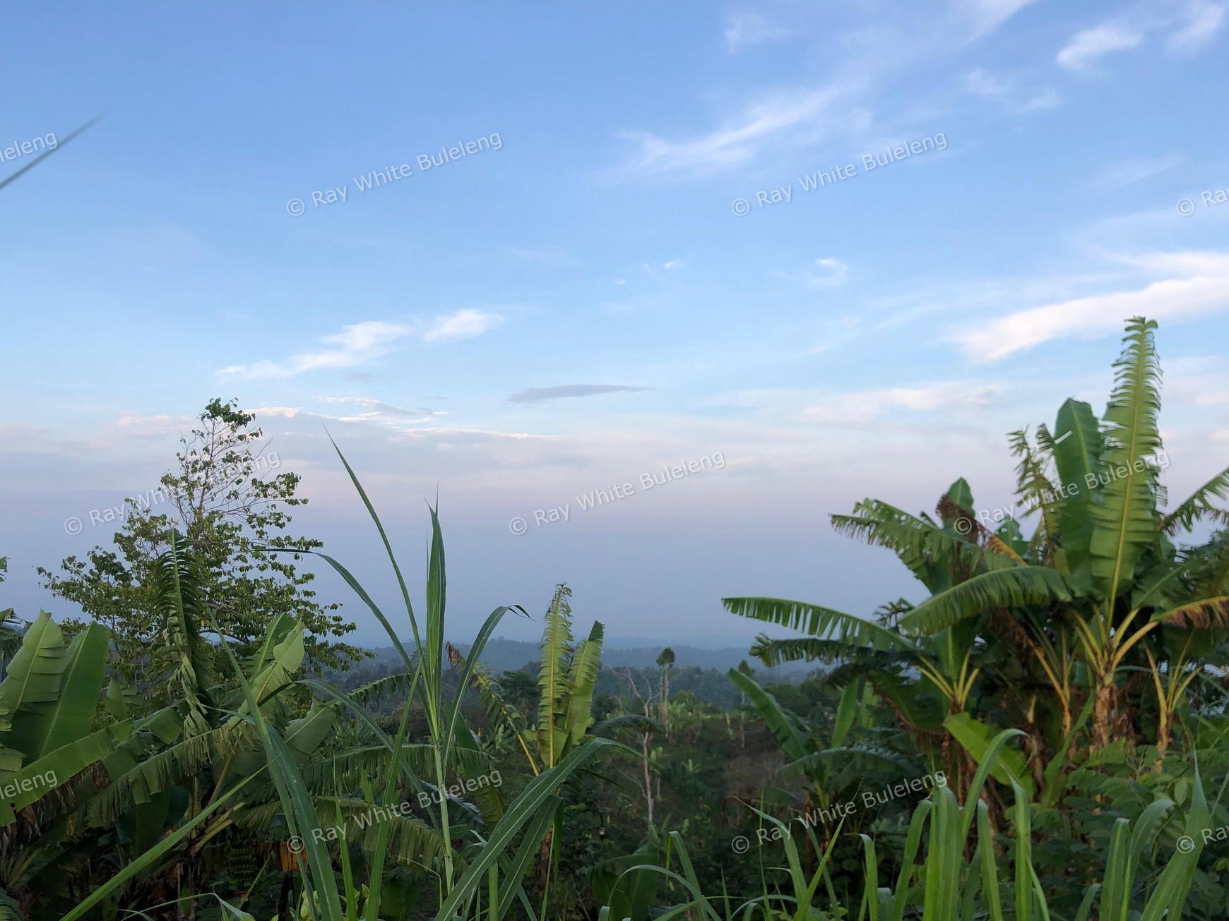 Strategic 4,950 Sqm Land - Ideal for Private Living or Investment