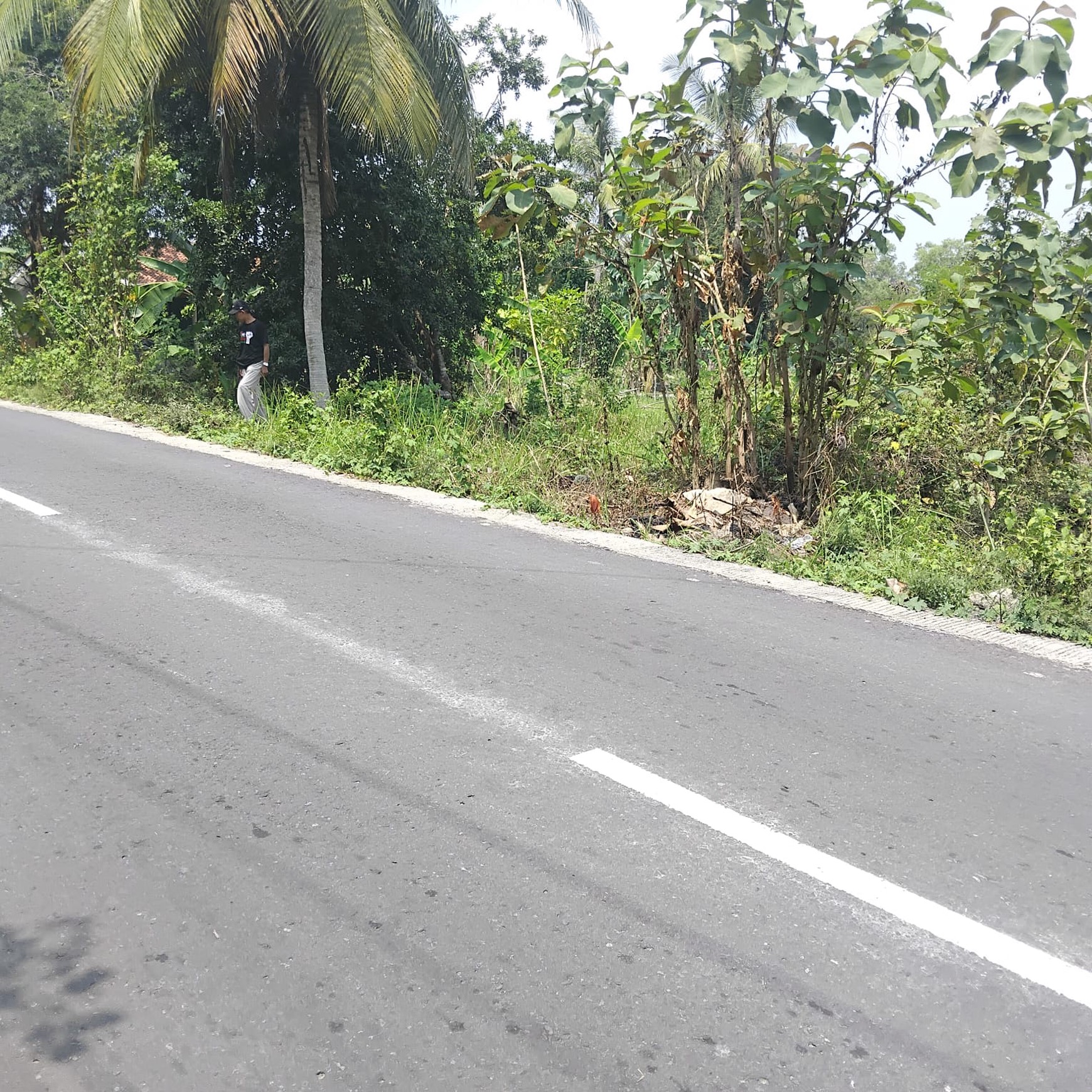 Tanah Tegalan Luas 3000 Meter Persegi Lokasi Startegis di Kasihan Bantul.