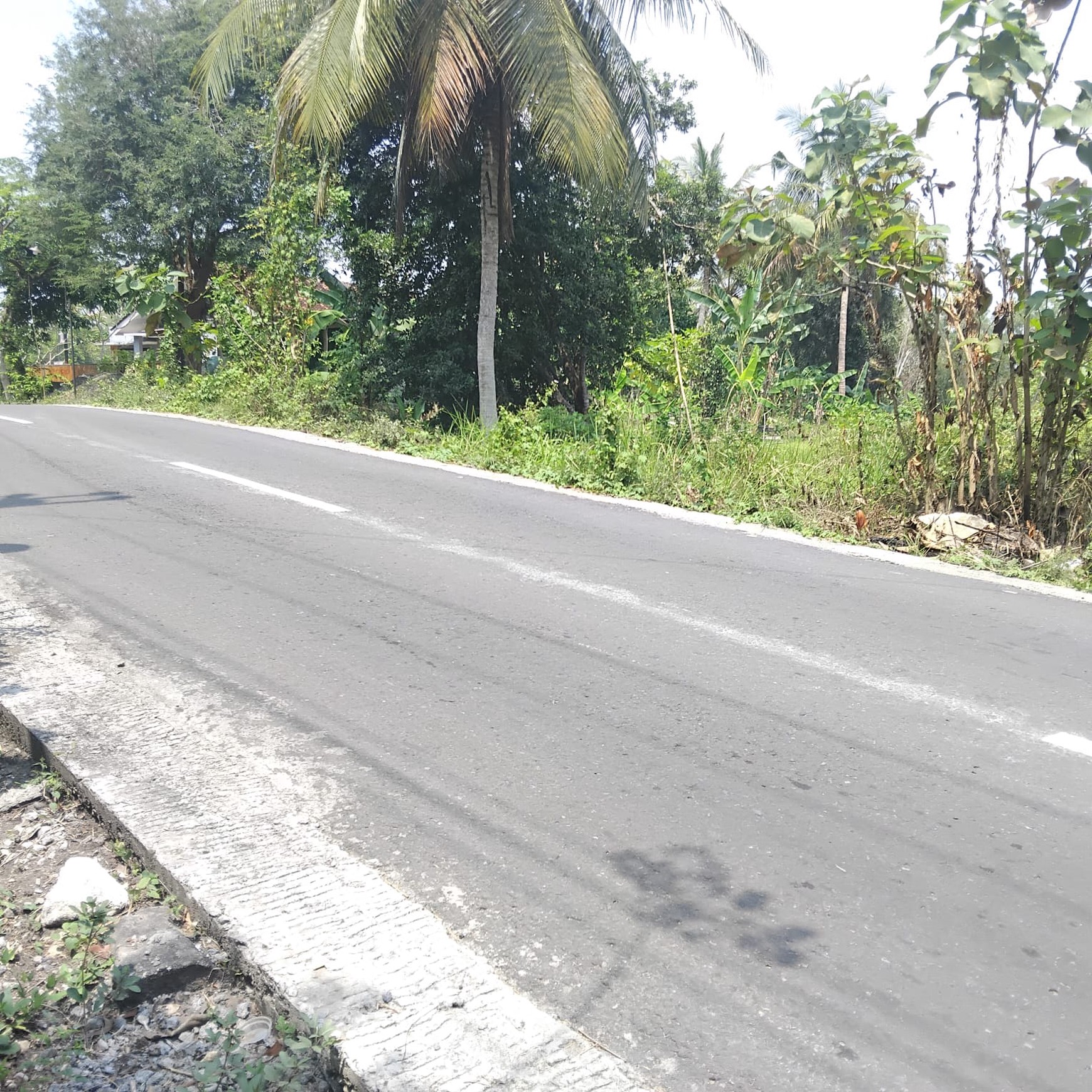 Tanah Tegalan Luas 3000 Meter Persegi Lokasi Startegis di Kasihan Bantul.