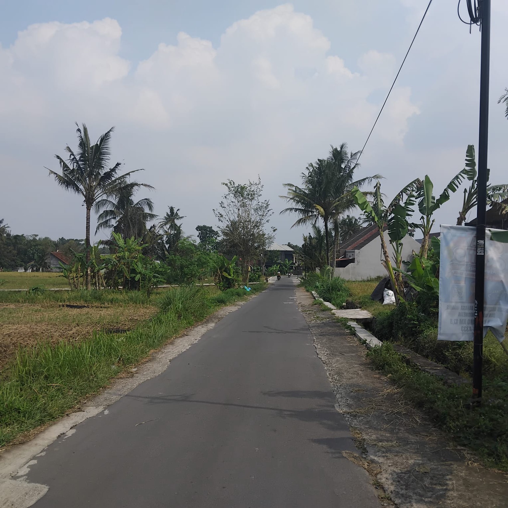 Tanah Sawah Luas 855 Meter Persegi Lokasi Dekat Kampus UII Ngaglik Sleman.