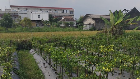 Tanah Sawah Luas 855 Meter Persegi Lokasi Dekat Kampus UII Ngaglik Sleman.