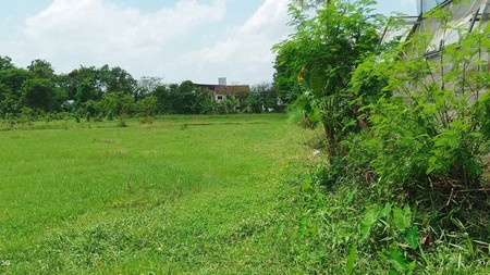 Tanah Sawah Luas 2507 Meter Persegi Dekat Akses Tol Trihanggo Gamping Sleman..