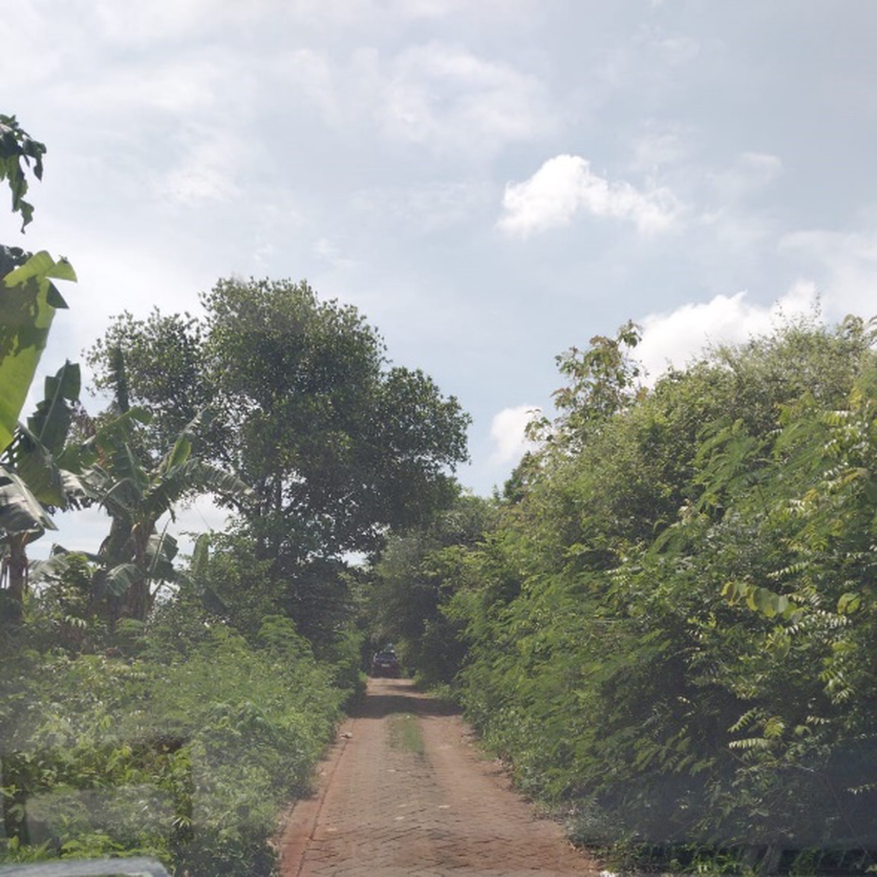 Dijual tanah perkebunan di kawasan Pangkah Kulon, Ujung Pangkah, Gresik