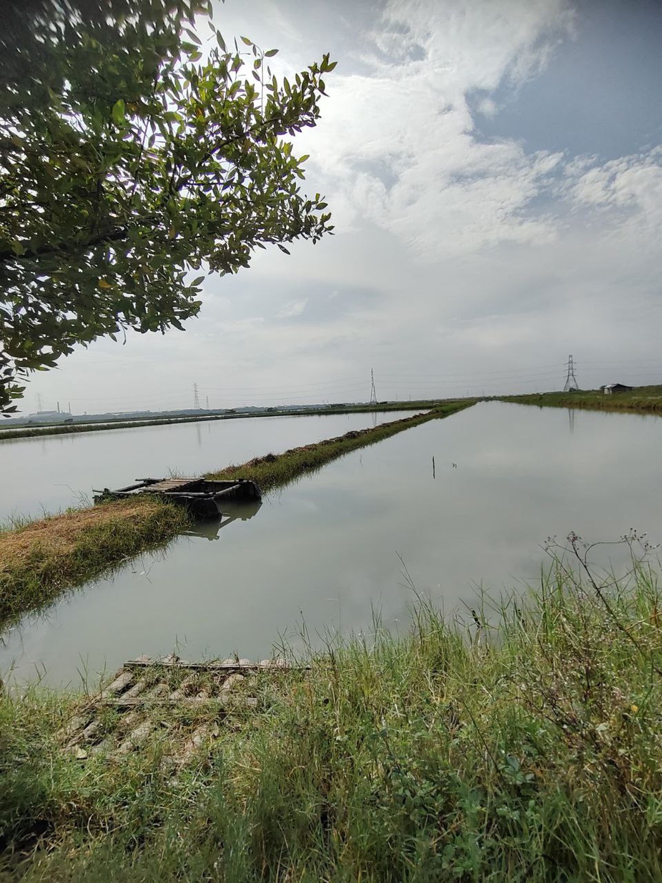 Jual Tanah Murah dan Luas Berlokasi Strategis di Benowo Surabaya