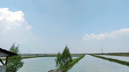 Jual Tanah Murah dan Luas Berlokasi Strategis di Benowo Surabaya