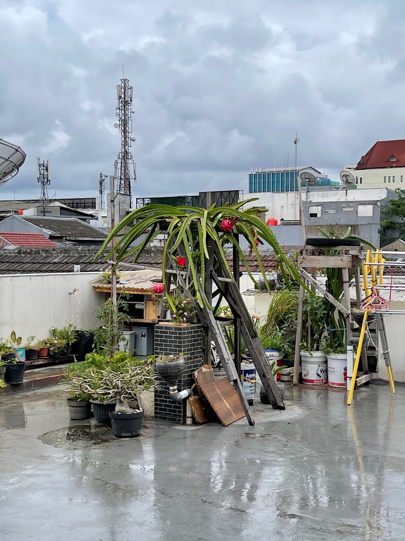 Dijual Rumah Kost, Di Daerah Cempaka Putih