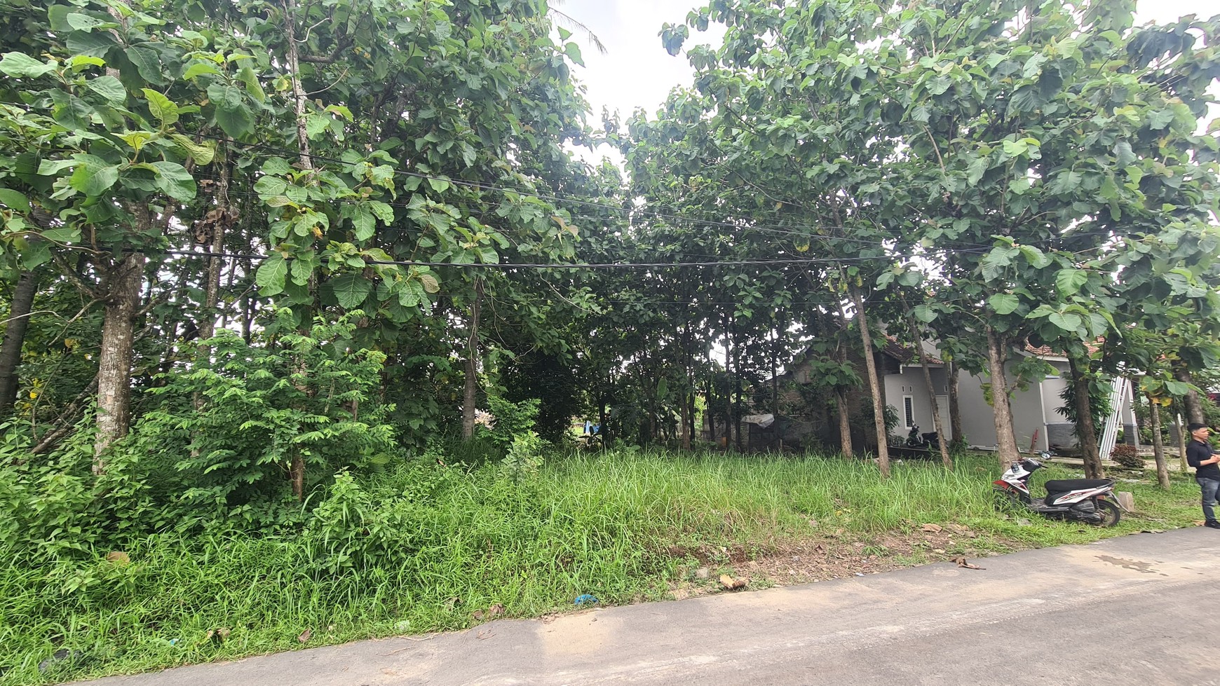 Tanah murah siap bangun di Tanjung Senang Bandar Lampung