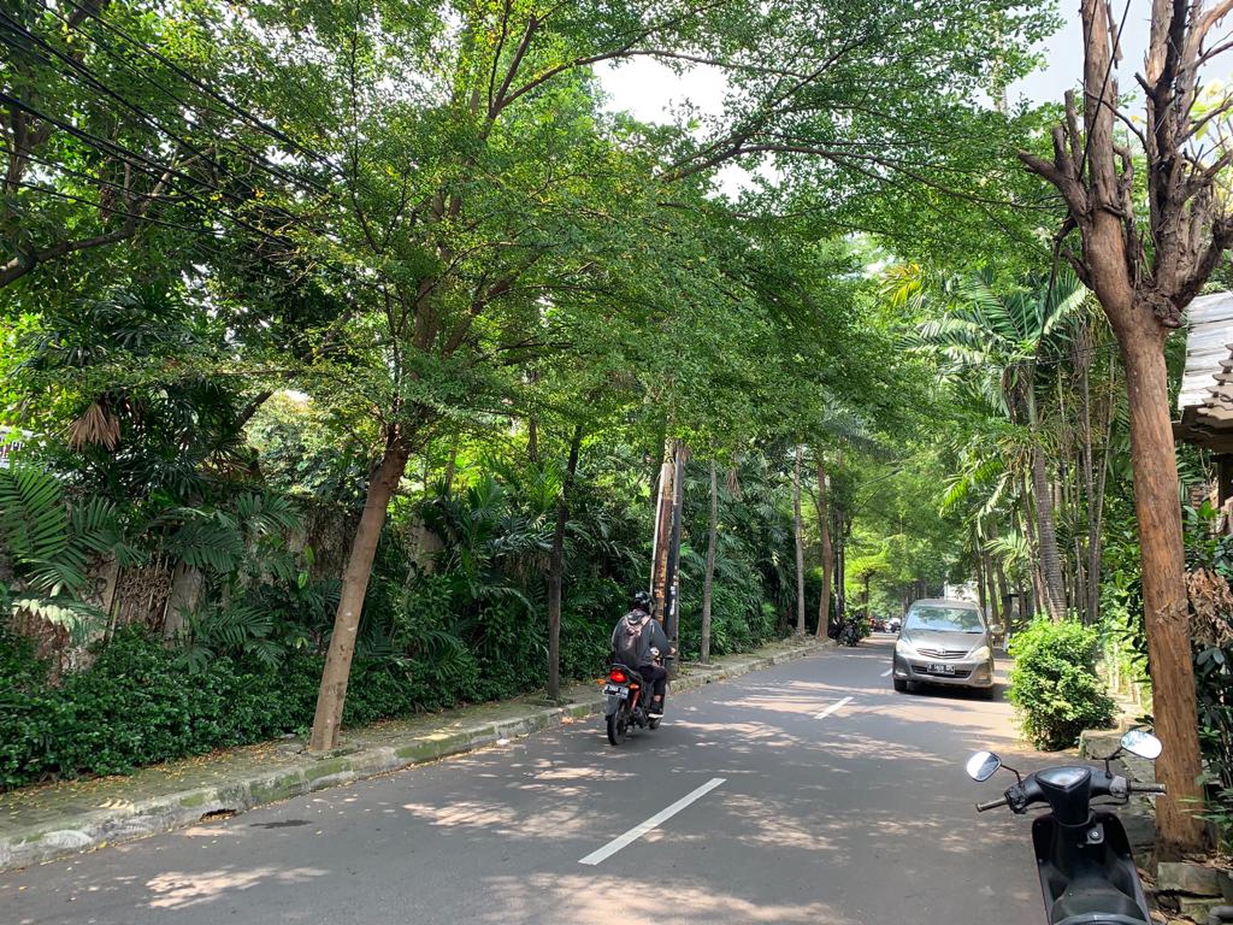 TANAH DIJUAL JALAN SIMPRUG JAKARTA SELATAN