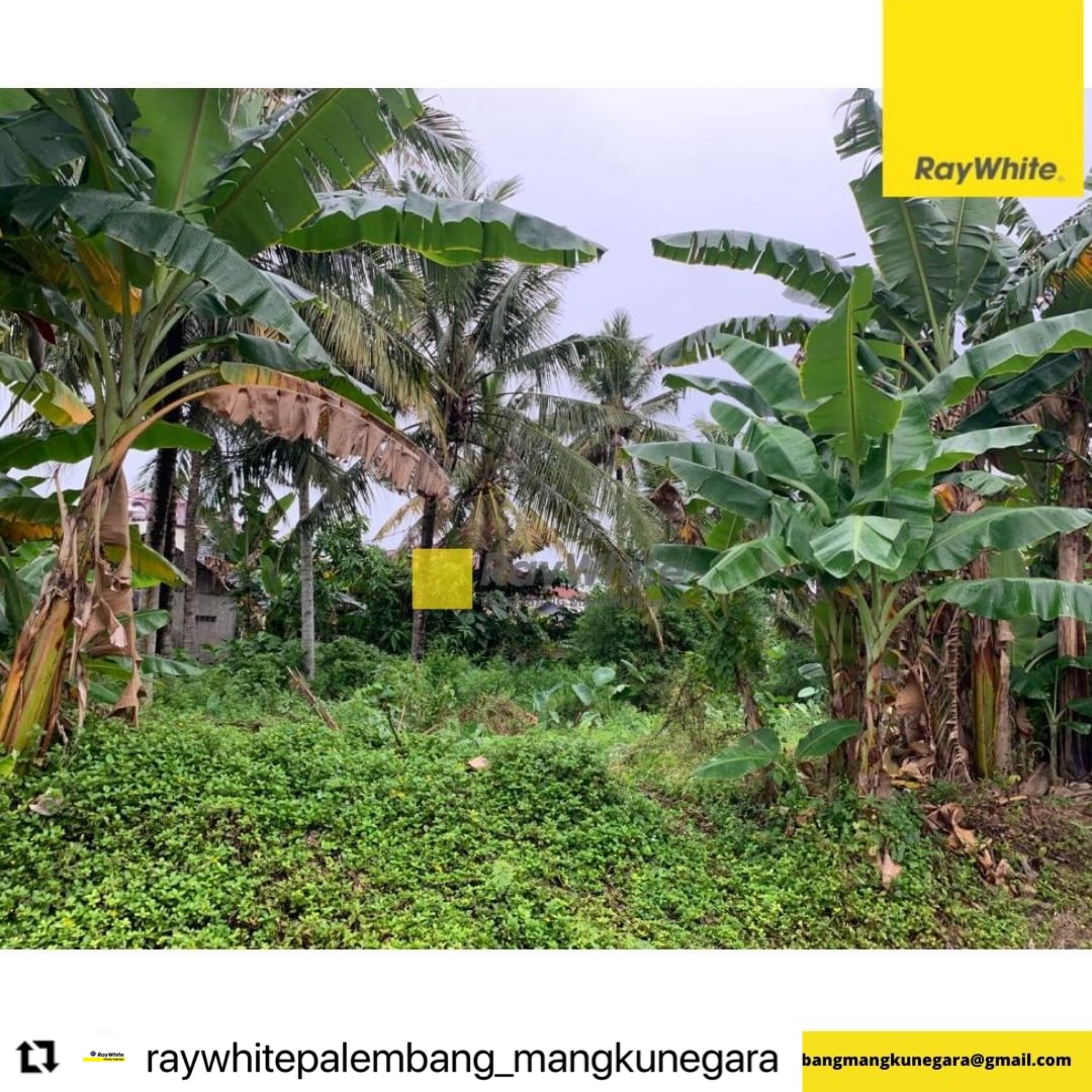 Tanah murah tengah kota palembang daerah bisnis 