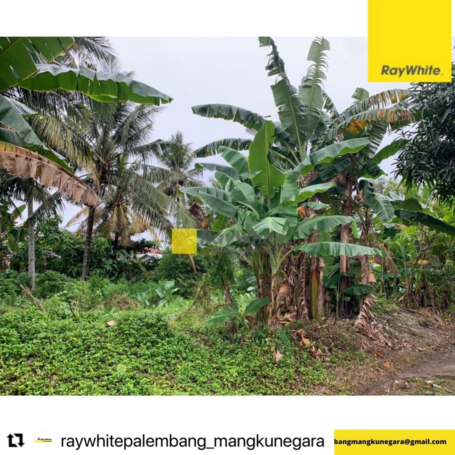 Tanah murah tengah kota palembang daerah bisnis 