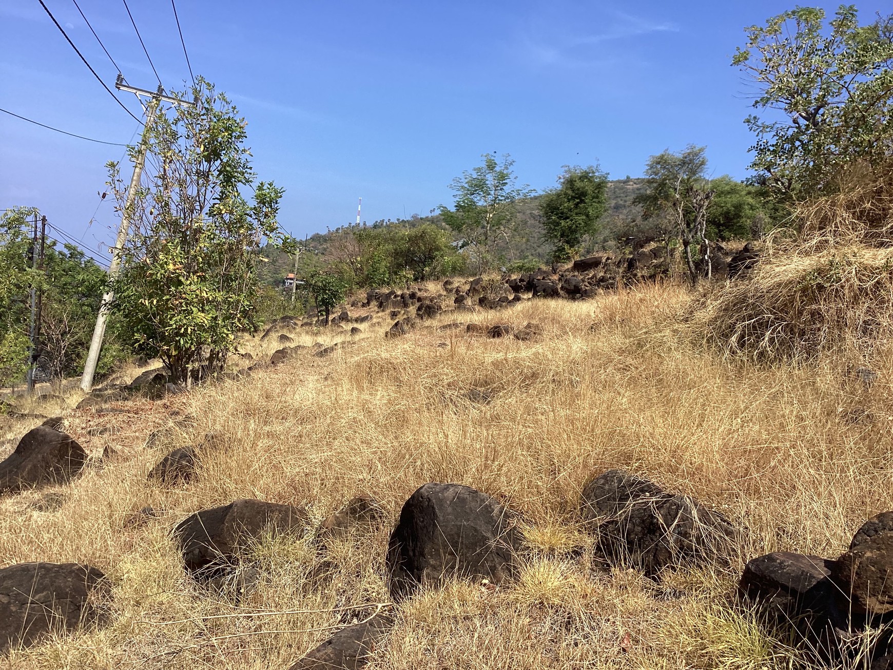 Land Freehold With Ocean View Amed Karang Asem Bali