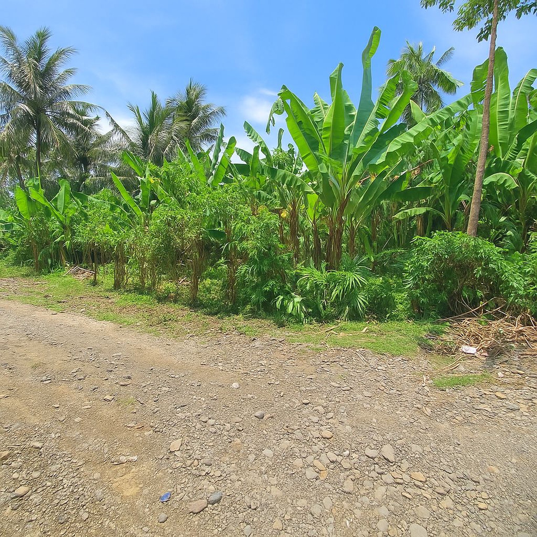 For Sale Main Road Land in Gilimanuk, Jembarana