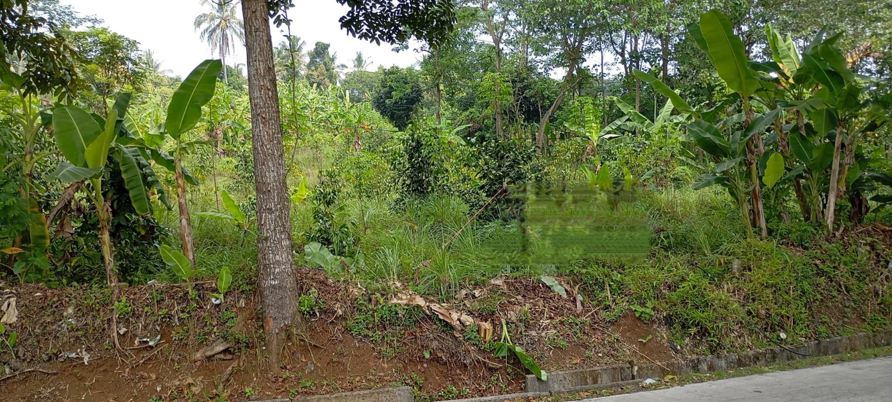 Dijual Tanah lokasi strategis pinggir jalan utama Cikalong Cipeundeuy, Jawa Barat