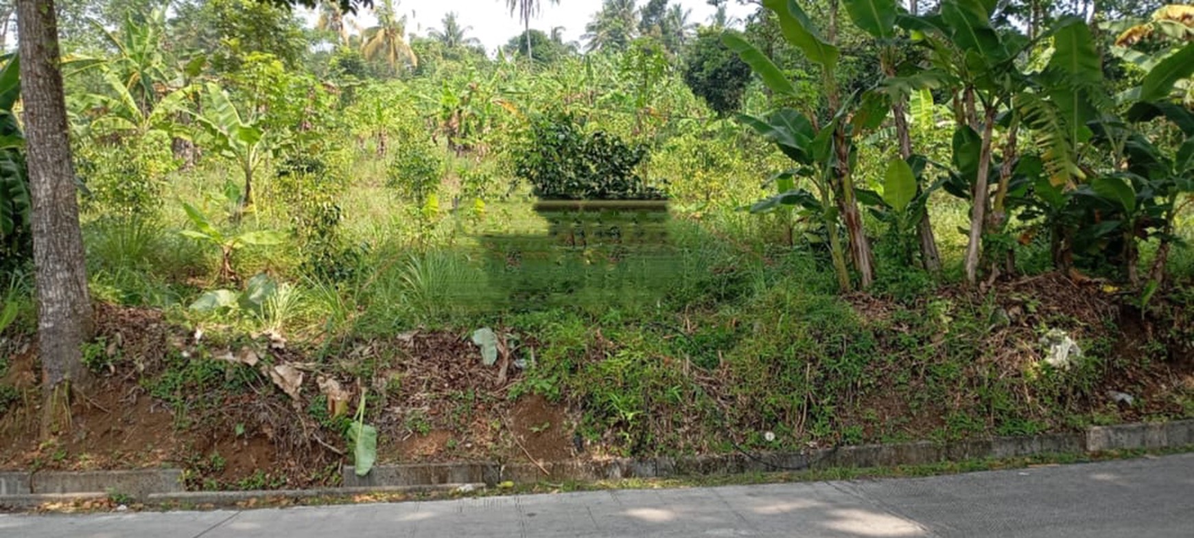 Dijual Tanah lokasi strategis pinggir jalan utama Cikalong Cipeundeuy, Jawa Barat