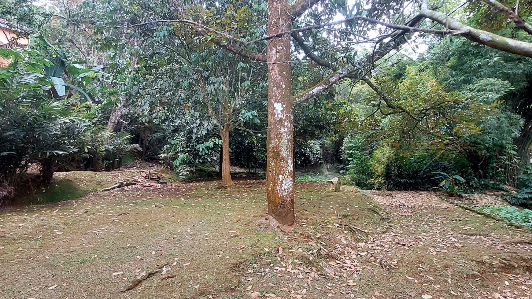 DIJUAL Rumah & Tanah Daerah Asri di kampung simagalih megamendung