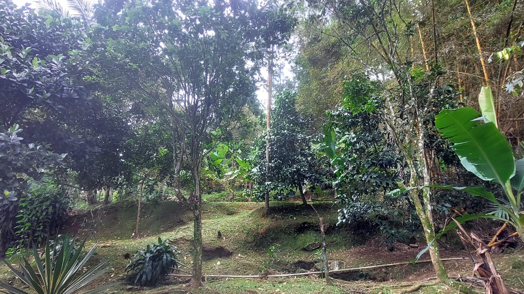 DIJUAL Rumah & Tanah Daerah Asri di kampung simagalih megamendung